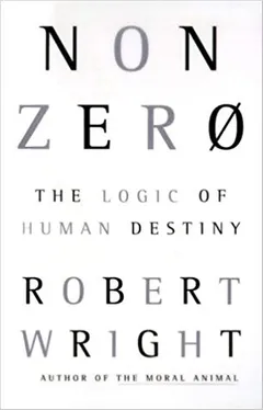 Nonzero: The Logic of Human Destiny - book cover