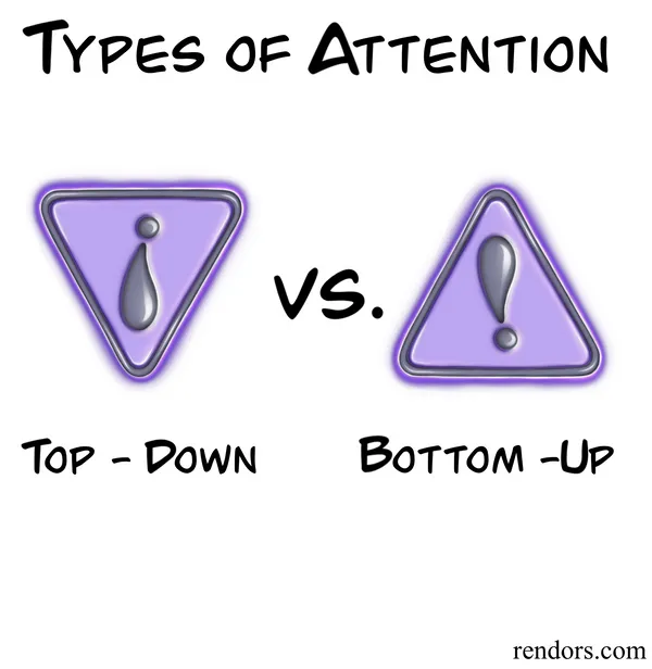 Smartbits - Attention: Bottom-Up vs Top-Down. A Lesson from Adam Gazzaley
